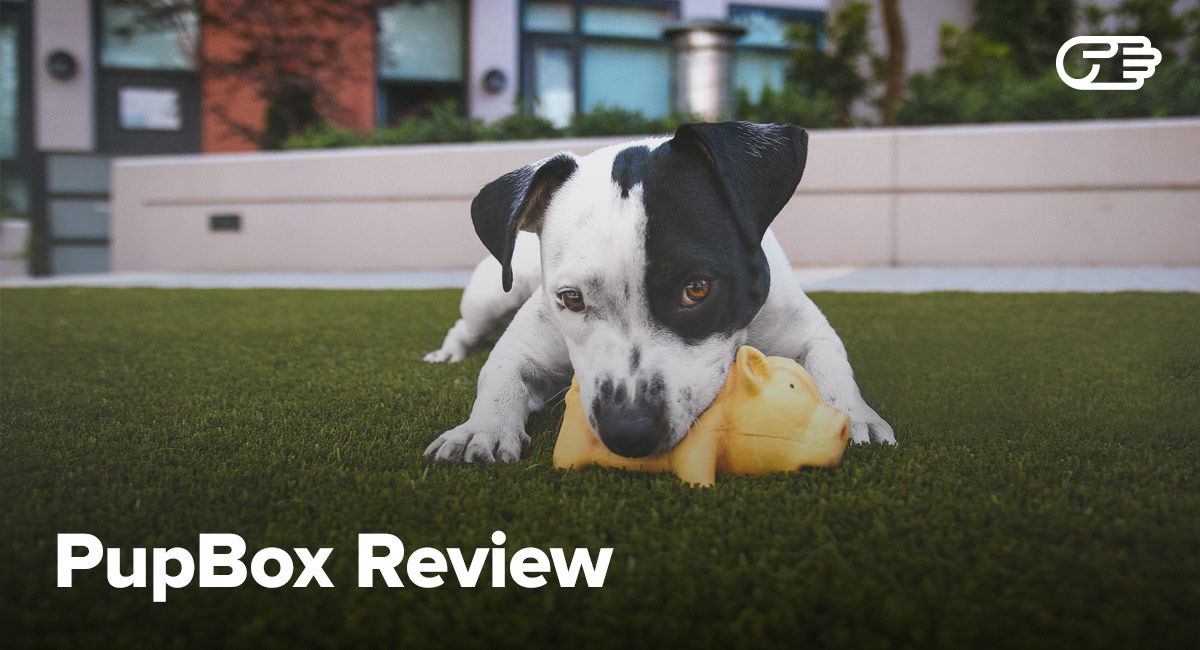 pupbox vs barkbox